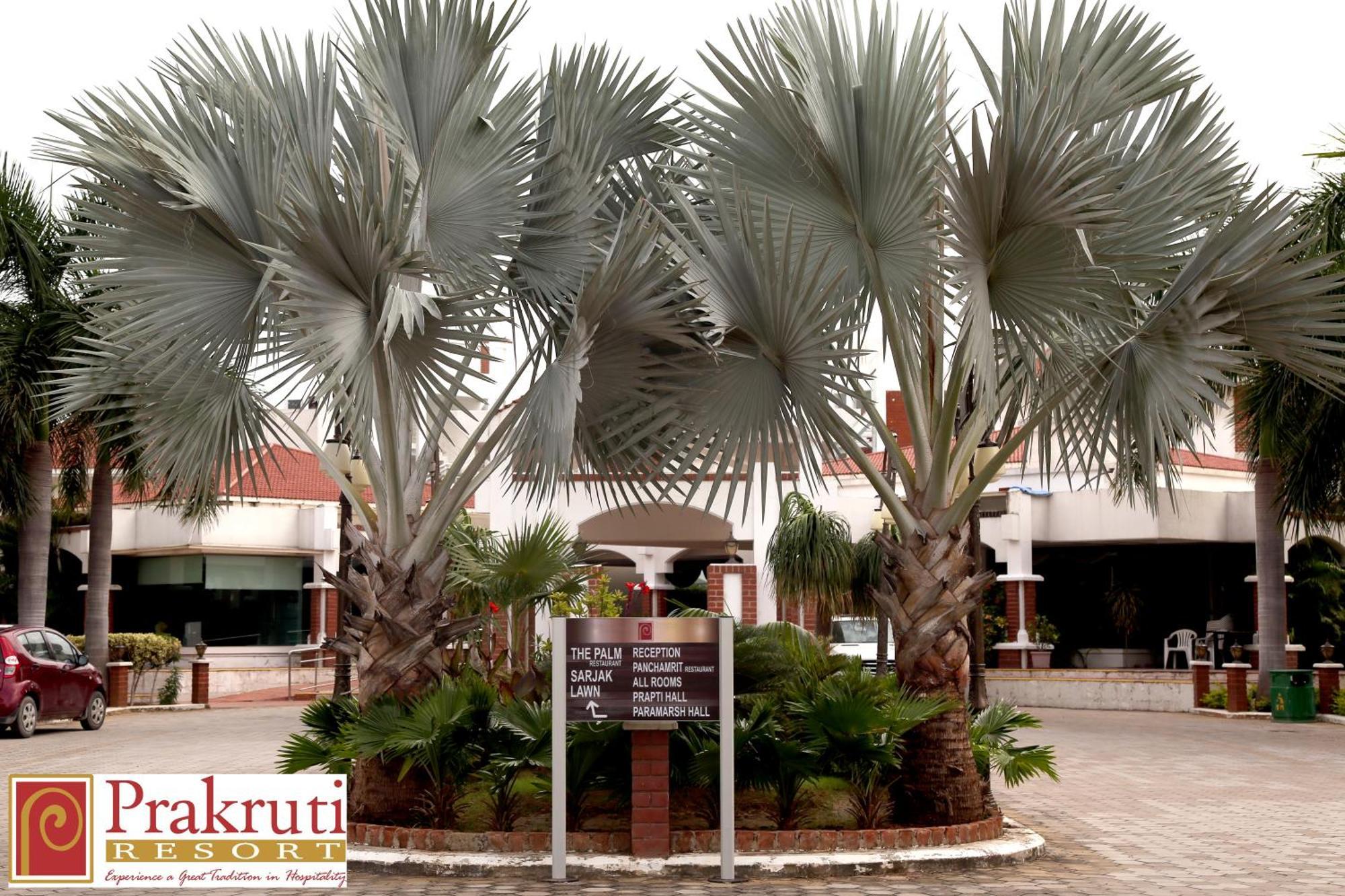 Prakruti Resort วาโดดารา ภายนอก รูปภาพ